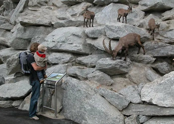 Ferienwohnung-apartment Monika In Innsbruck-igls Apartmán